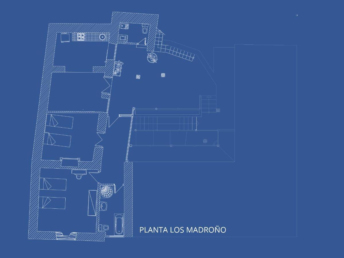 Madronos